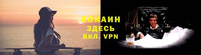 кокс Баксан