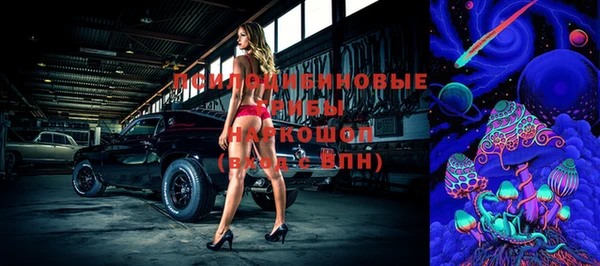 стаф Балахна