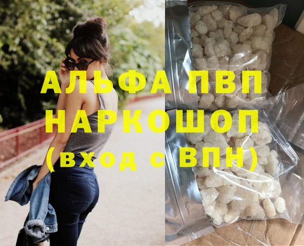 стаф Балахна